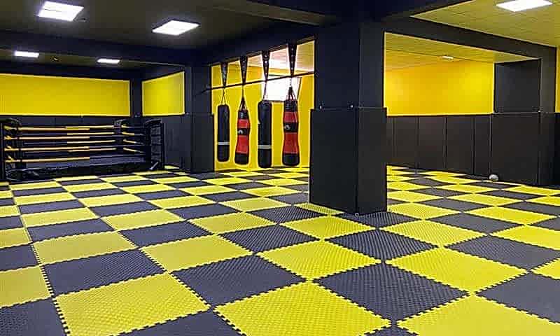 image desc